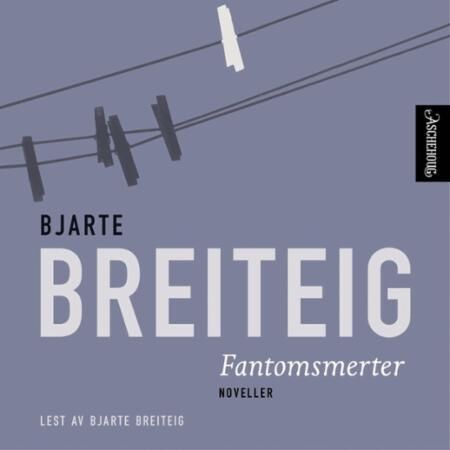 Fantomsmerter: noveller